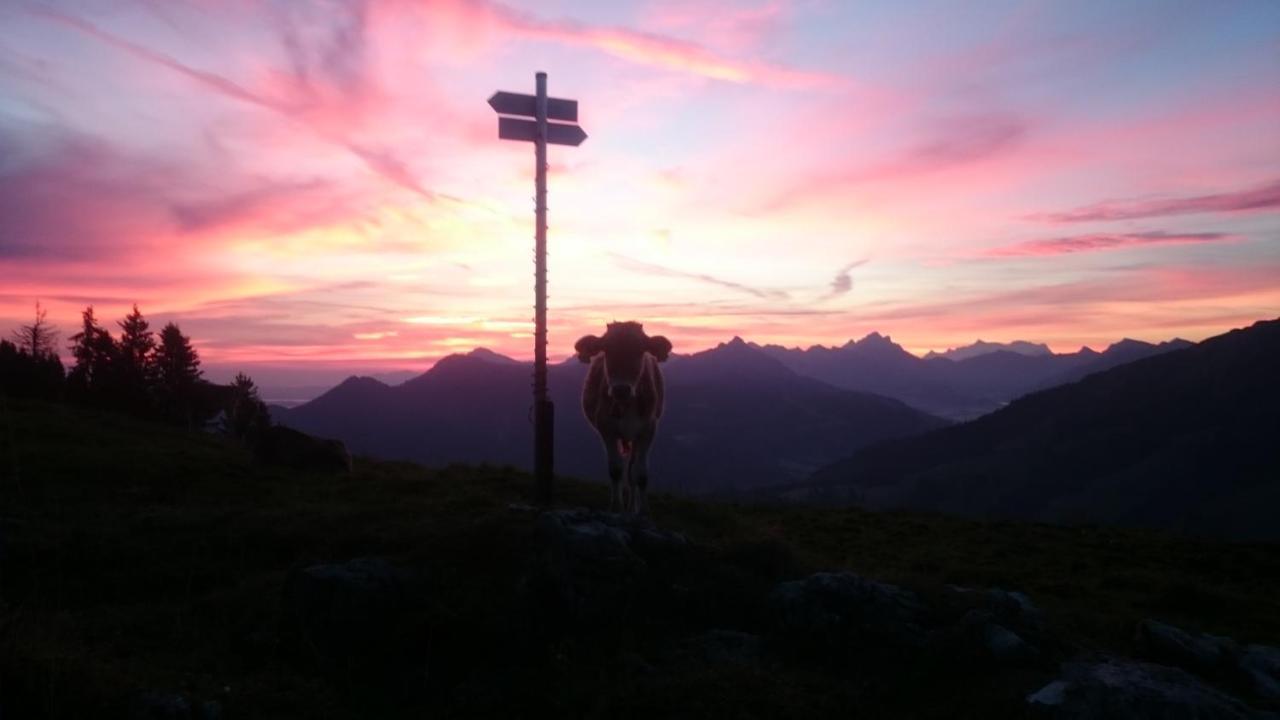 Landhaus Schanzblick Bad Hindelang Eksteriør billede